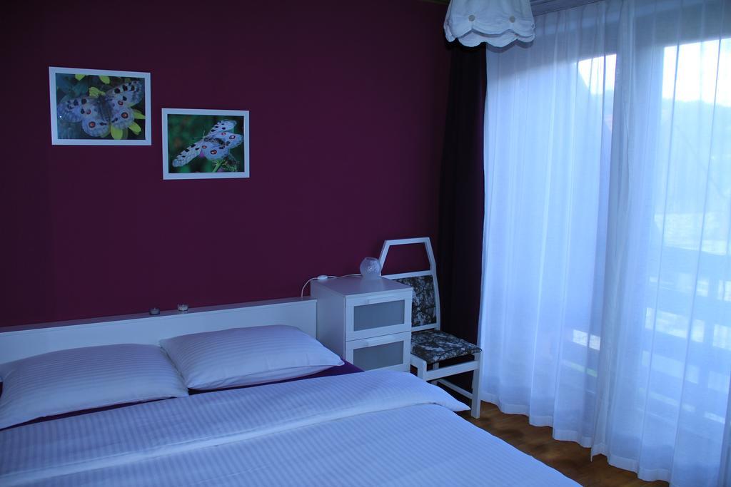 Apartment Apolon Planinski Delnice Exterior photo